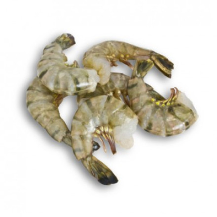 Tiger shrimps b/g 21/25 12 pcs