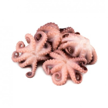 Octopus baby (s/m) 120 gr