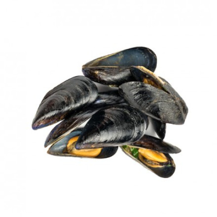 Mussels in a shell (40/60) 8 pcs