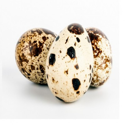 Quail eggs 8 pcs