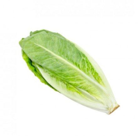 Romaine salad 500 gr